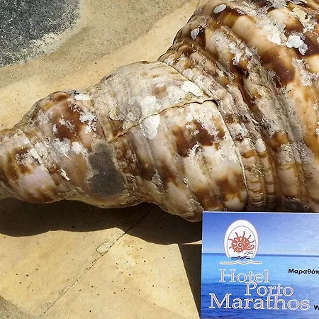 Porto Marathos